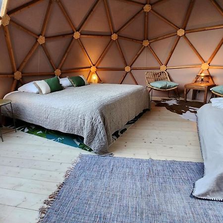 Sottu E Stelle Hotell Albitreccia Eksteriør bilde