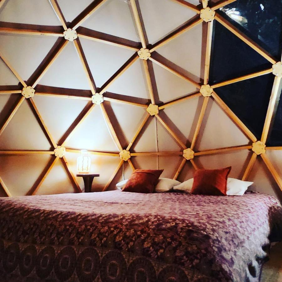 Sottu E Stelle Hotell Albitreccia Rom bilde
